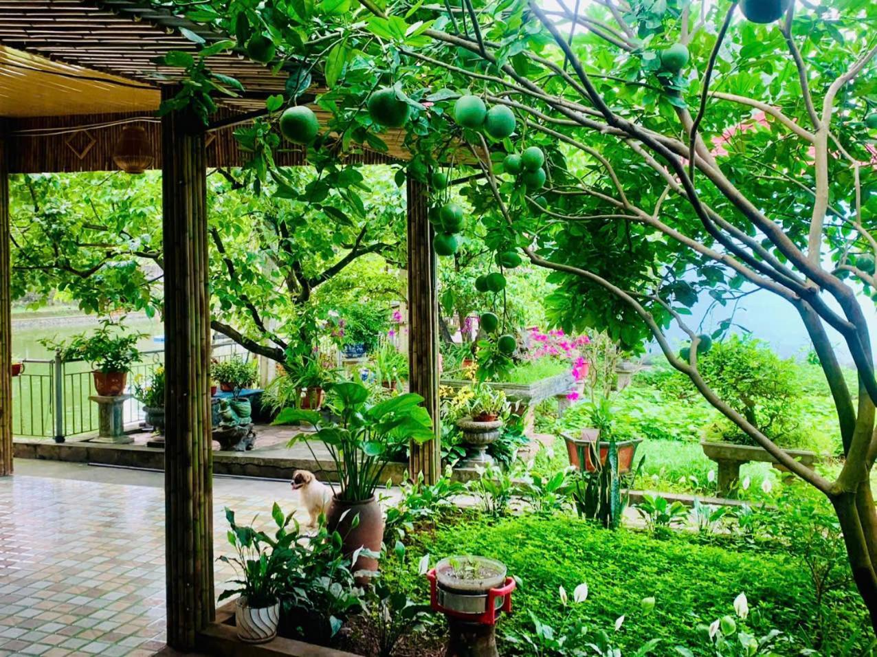 Blue Garden Homestay Ниньбинь Экстерьер фото
