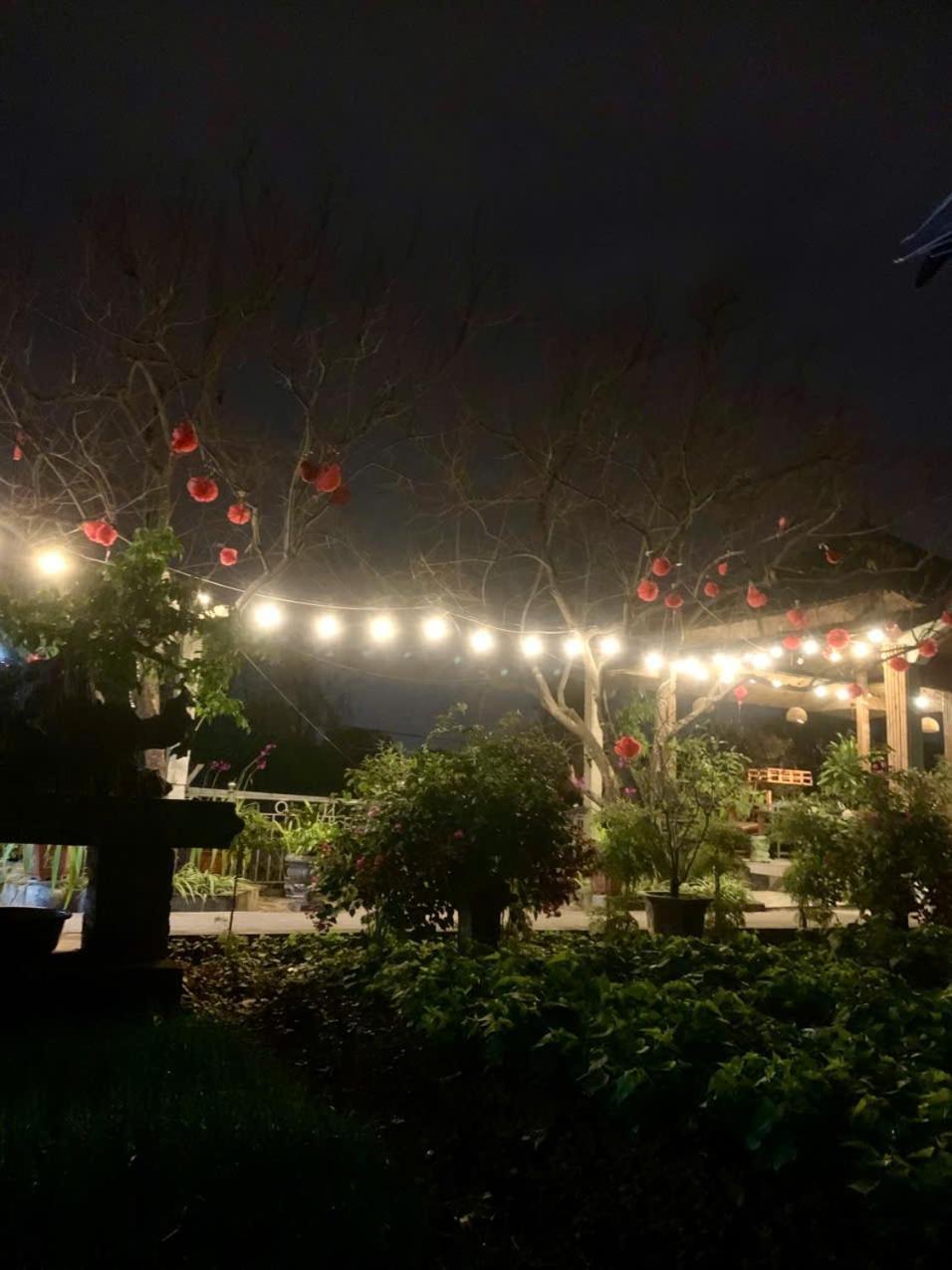 Blue Garden Homestay Ниньбинь Экстерьер фото