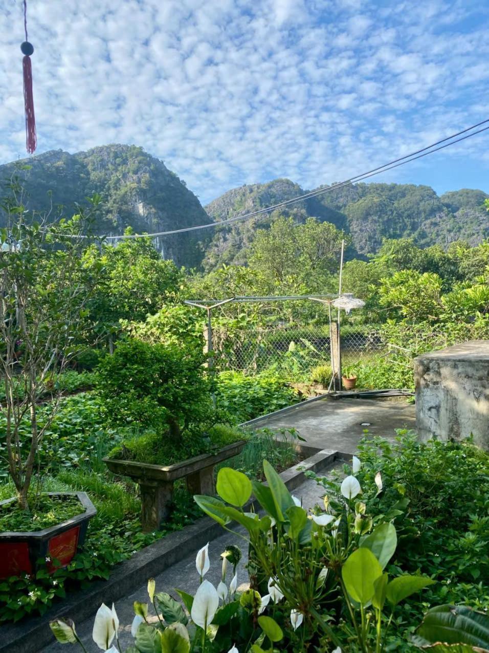 Blue Garden Homestay Ниньбинь Экстерьер фото