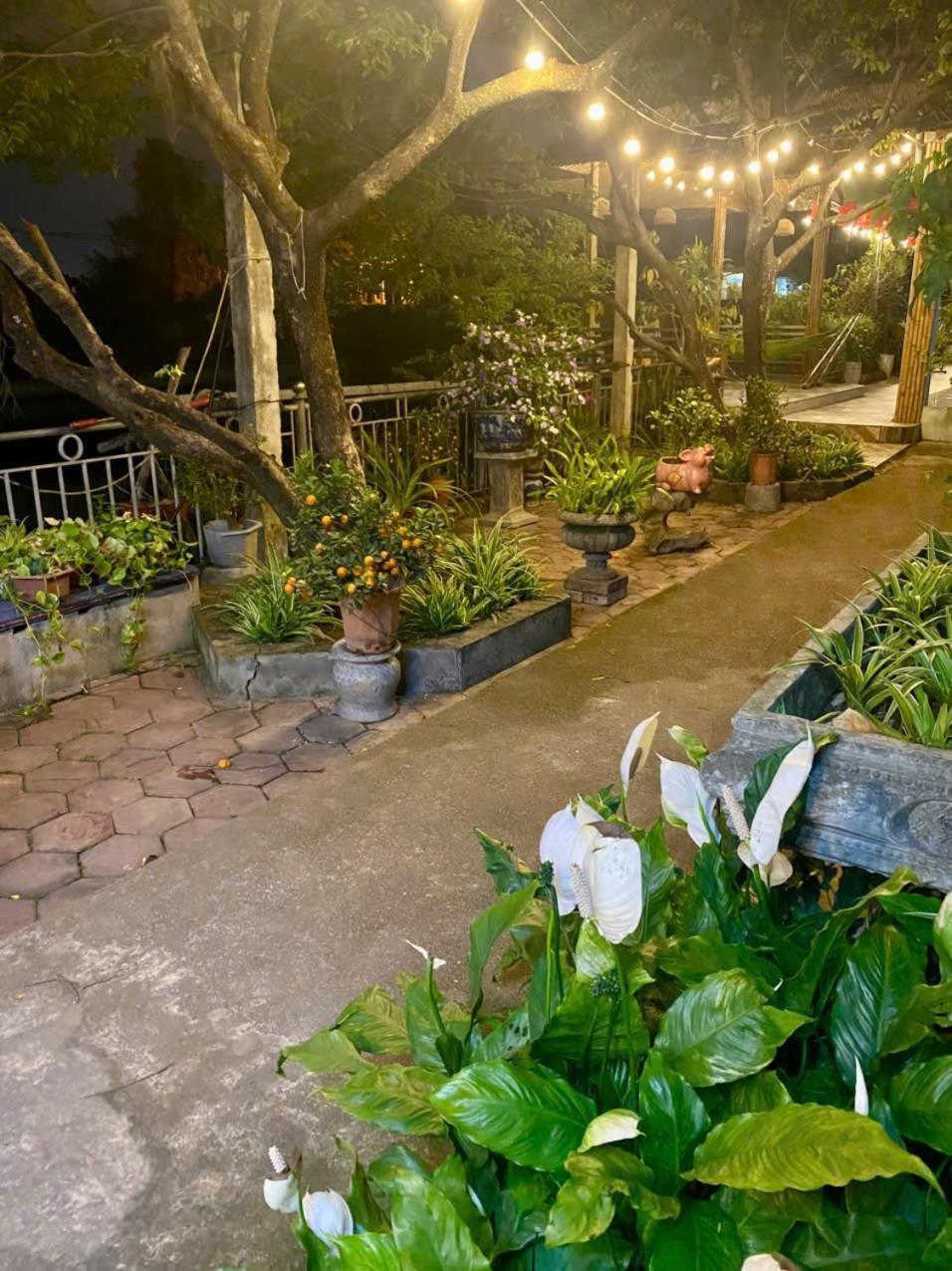Blue Garden Homestay Ниньбинь Экстерьер фото