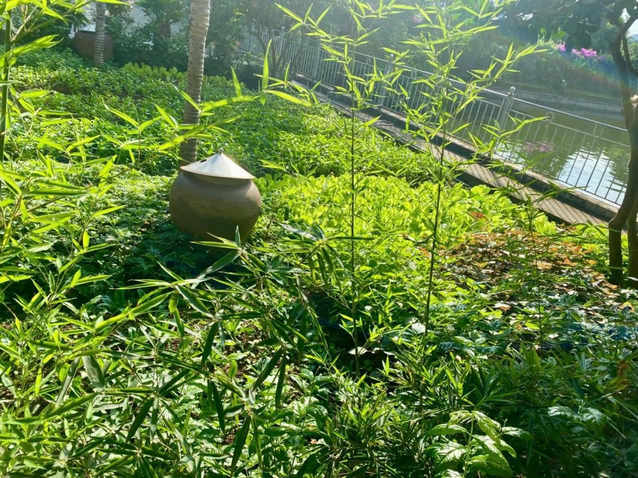Blue Garden Homestay Ниньбинь Экстерьер фото